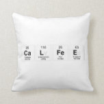 CALFEE  Pillows