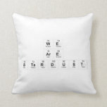 We
 Are
 Stardust  Pillows