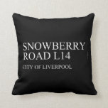 SNOWBERRY ROaD  Pillows