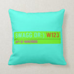 swagg dr:)  Pillows