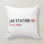 LAB STATION  Pillows
