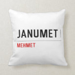 Janumet  Pillows