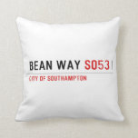 Bean Way  Pillows