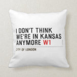 I don't think We're in Kansas anymore  Pillows