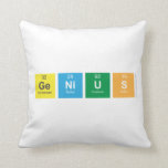 genius  Pillows