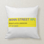 Akinn Street  Pillows