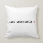 James Turner Street  Pillows