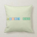 Thinking Day  Pillows
