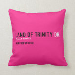 land of trinity  Pillows