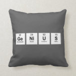Genius  Pillows