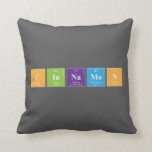 cinnamon  Pillows