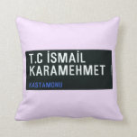 T.C İSMAİL KARAMEHMET  Pillows