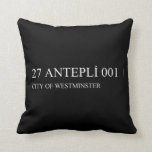 27 ANTEPLİ 001  Pillows