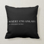06 MERT 4790  Pillows