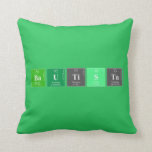 Bautista  Pillows
