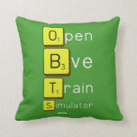 Open
 Bve
 Train
 Simulator  Pillows