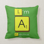 I'm
 A
 Fabulous  Pillows