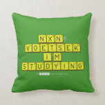  NXN!! VOETSEK   I'M STUDYING  Pillows