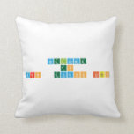 Welcome
 to
 Mrs. Evans Class  Pillows