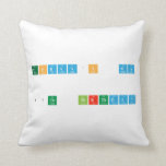    TODAY'S  MY   17th  BIRTHDAY  Pillows