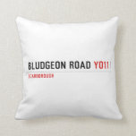 BLUDGEON ROAD  Pillows