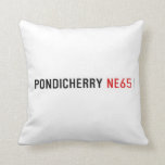 Pondicherry  Pillows
