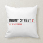 Mount Street  Pillows