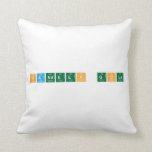 Sandeep gola   Pillows