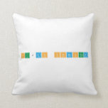 Sujan Shrestha   Pillows