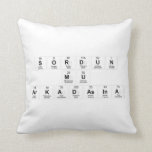 SORDUN 
 MU
 ARKADASINA  Pillows
