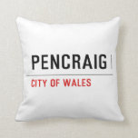 pencraig   Pillows