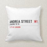 Andrea street   Pillows