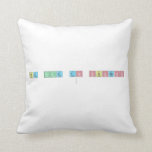 The Code to Success
   Pillows