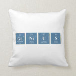 Genius  Pillows