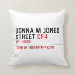 Donna M Jones STREET  Pillows