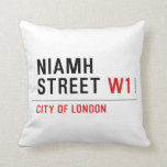 Niamh Street  Pillows