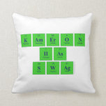 Kameron
 Has 
 Swag  Pillows