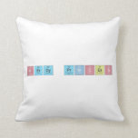 N|erdy princ|ess  Pillows