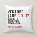 Venture  Lane  Pillows