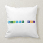 Welcome Back  Pillows