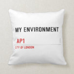 My environment    Pillows
