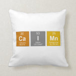 Caimn  Pillows