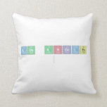 Los Angeles
   Pillows
