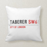Taberer  Pillows