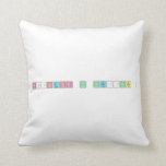 Néstor y Verónica   Pillows