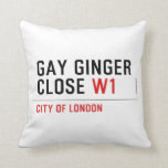 GAY GINGER CLOSE  Pillows