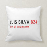 Luis Silva  Pillows