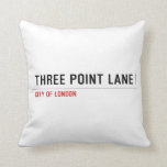 THREE POINT LANE  Pillows