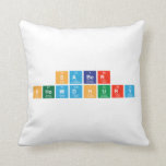 Saber
 Chowdhury  Pillows