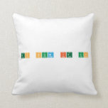 To Sum It Up  Pillows